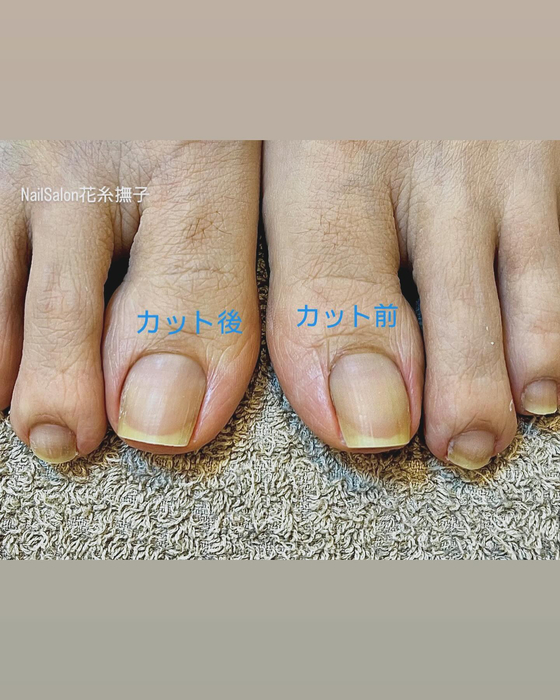 画像347