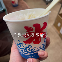 画像500