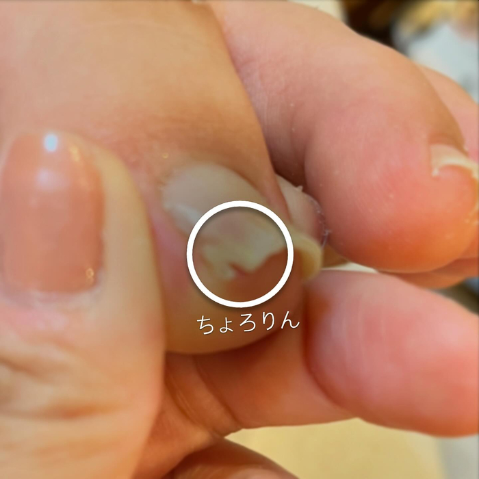 画像575