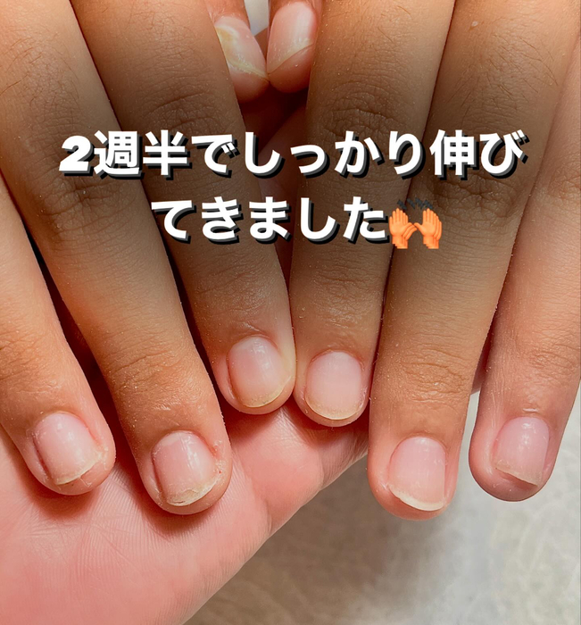 画像636
